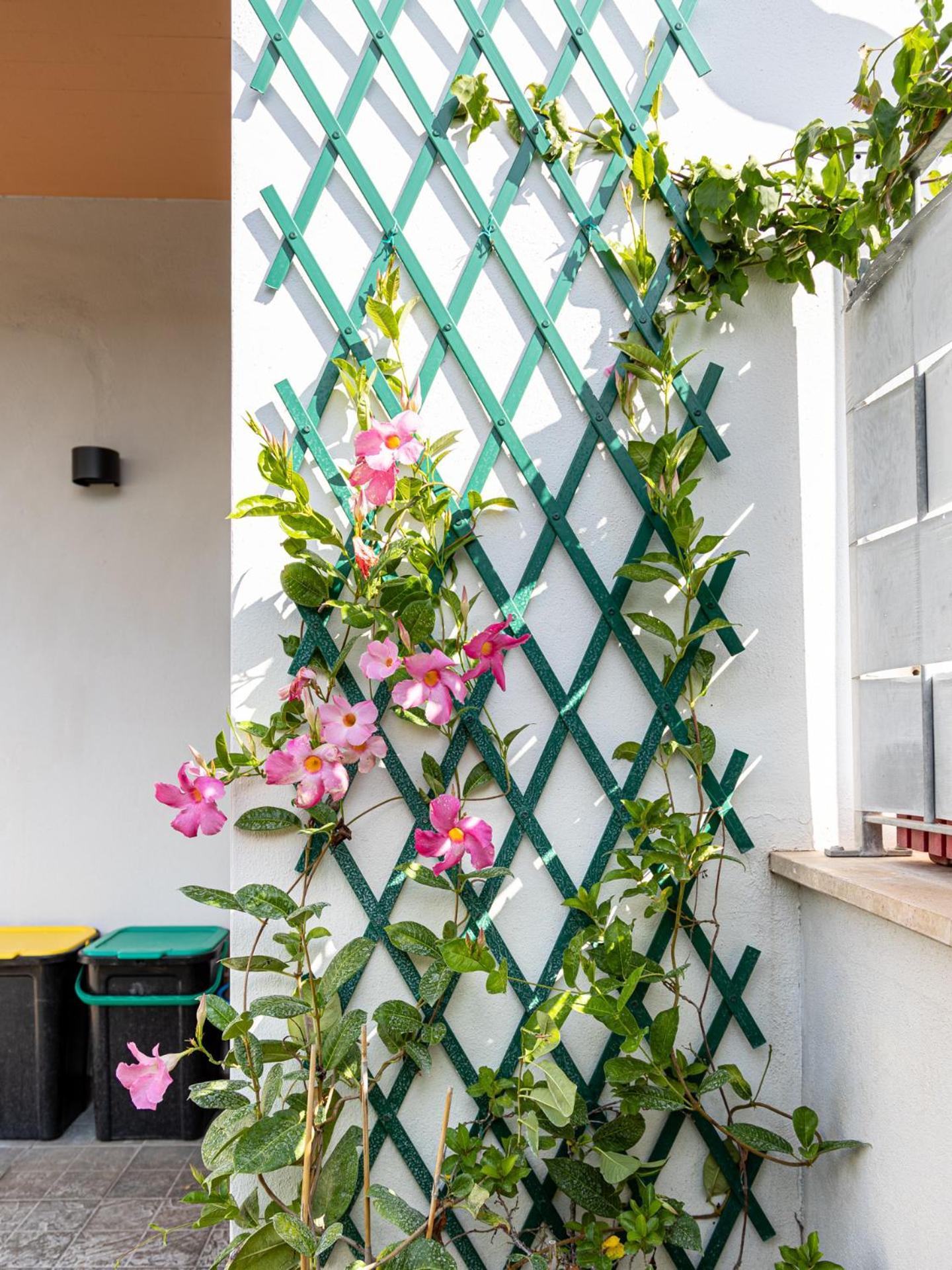 Mrb Real Estate - Maison Ludovica - Monolocale Moderno Con Giardino Frattocchie Exterior photo